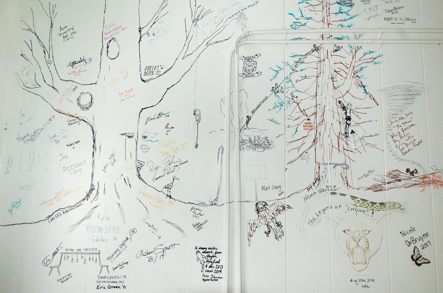 A white wall covered with drawings of trees and filled with signatures.