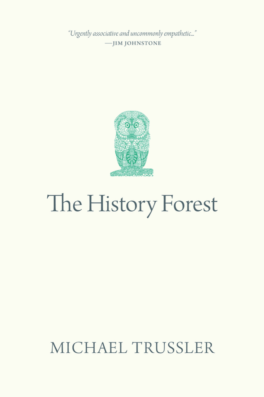THE HISTORY FOREST cover HIGH RES