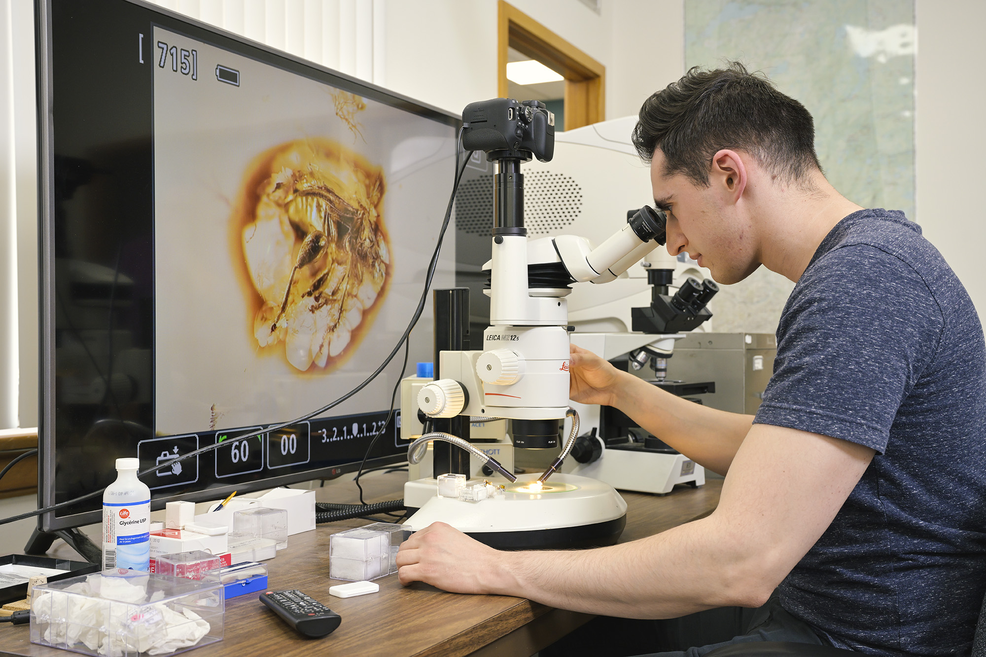 Jerit Mitchell gazing at a millions-year-old fossilized beetle (Photo by Trevor Hopkin)