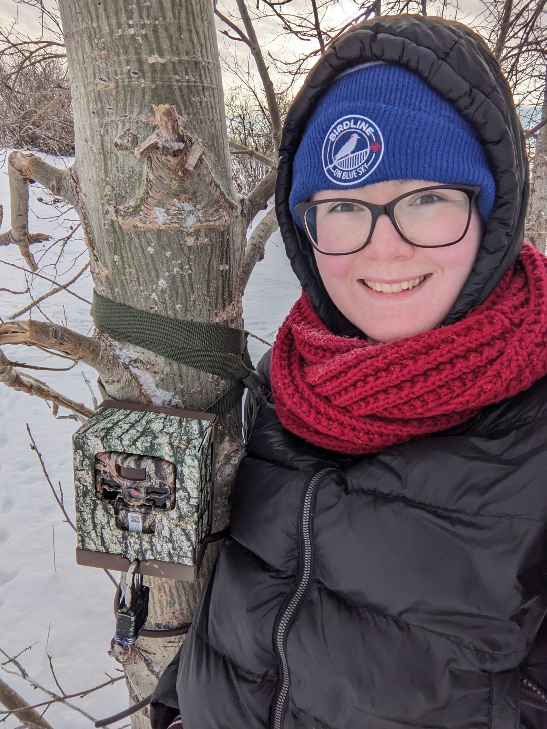 Jordan Rustad, a graduate biology student, setting up a trail camera for her master's urban wildlife project. (Photo courtesy of Jordan Rustad)