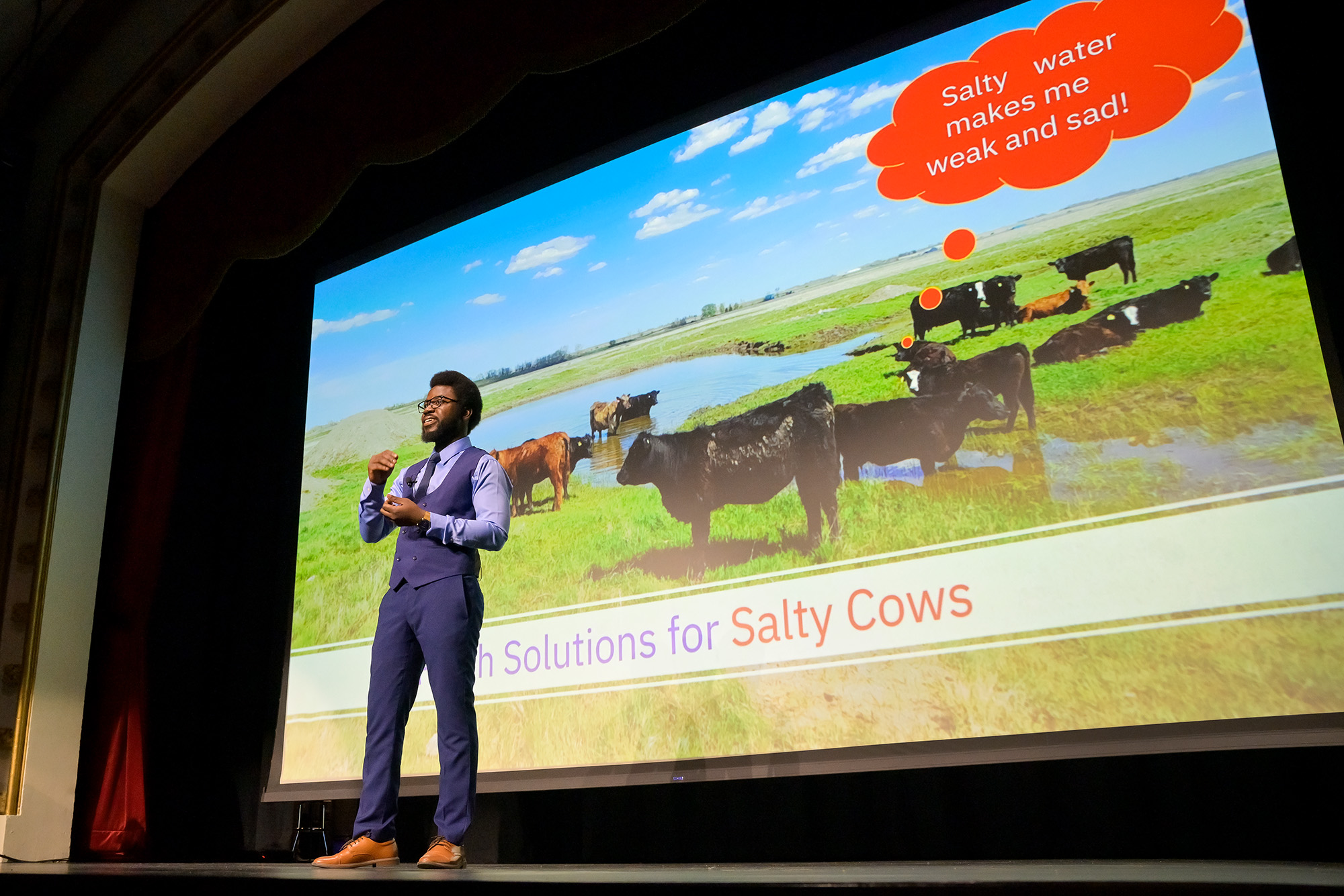 Michael Mensah presenting his 3MT, Fresh Solutions for Salty Cows. (Photo by Trevor Hopkin)