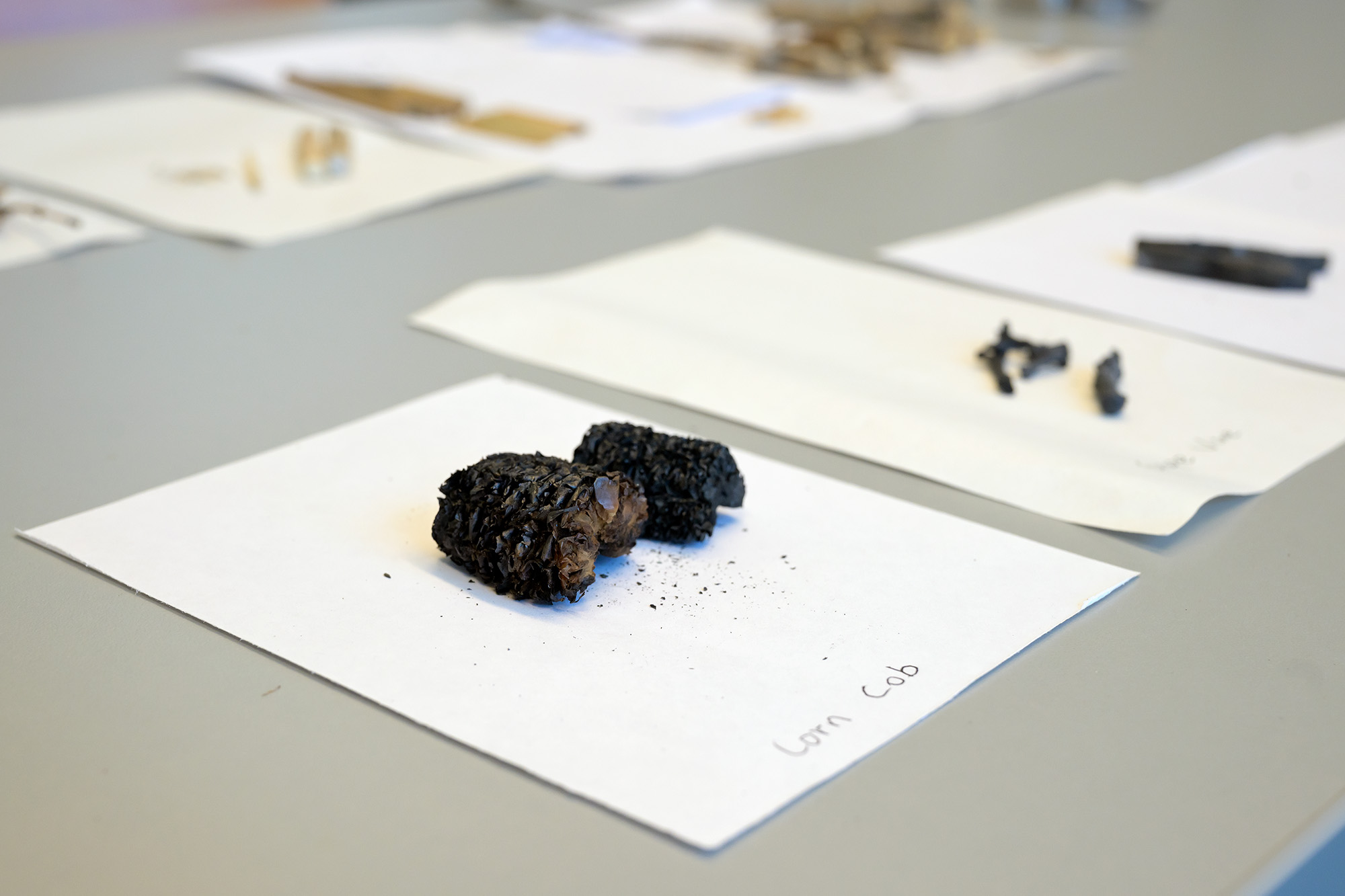 _URE9496 web A piece of corn cob after it has been hydrothermally carbonized. (Photo by Trevor Hopkin)