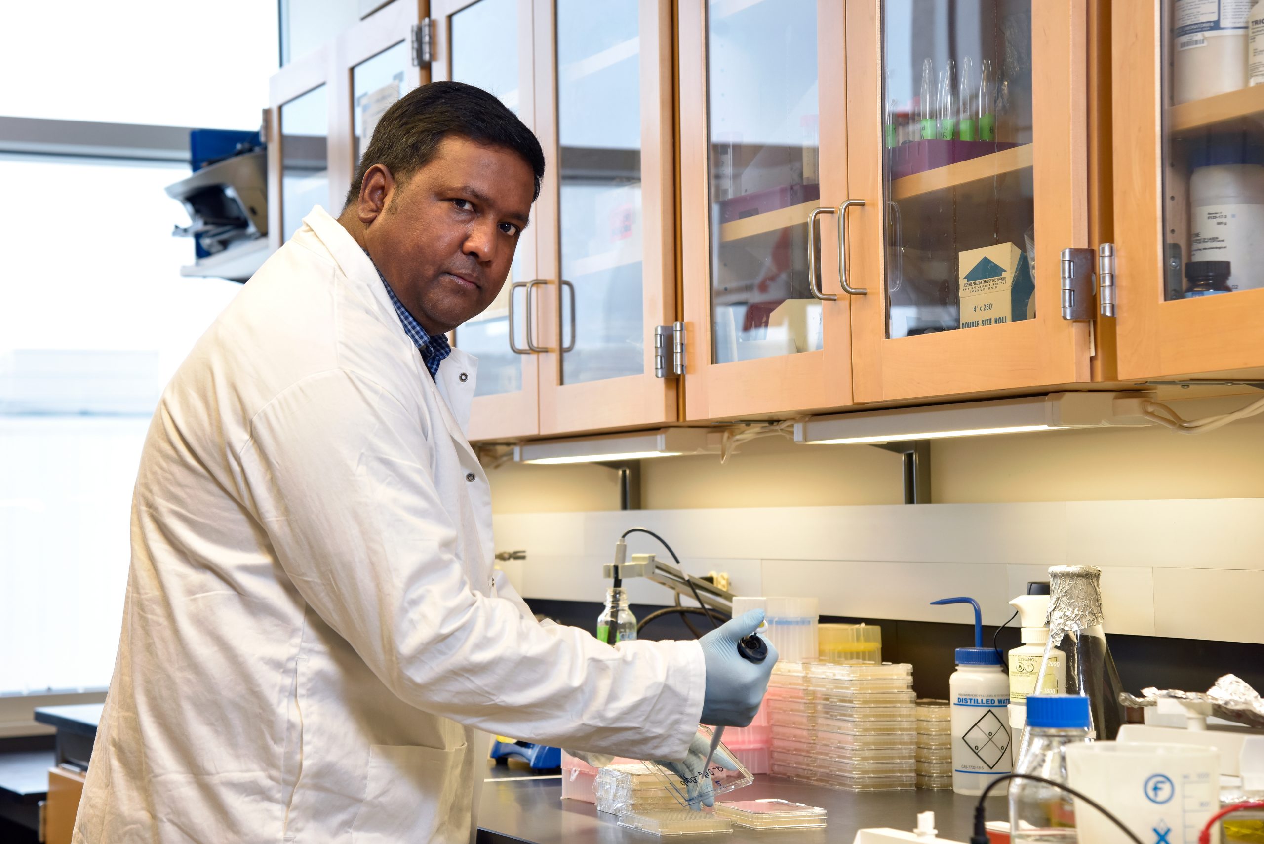 Dr. Mohan Babu received funding to identify exactly which metabolites attach to which proteins inside E. coli. (Photo by Trevor Hopkin)