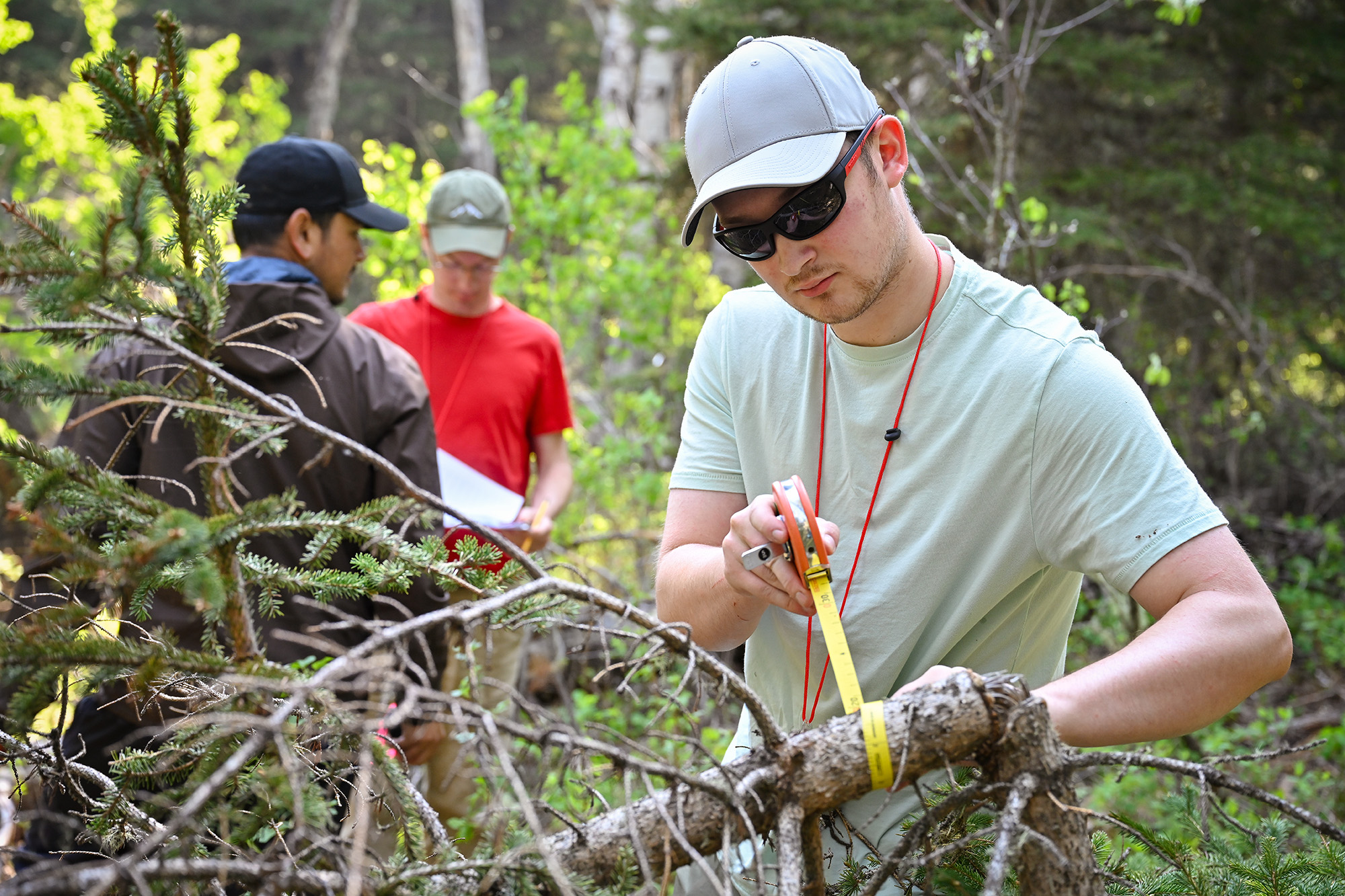 25-040-282 web Atom Yetowski measures the circumference of a tree. (Photo by Trevor Hopkin)
